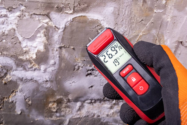 Best Certified Mold Removal  in La Palma, CA