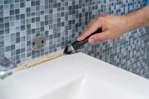 Best Commercial Mold Removal  in La Palma, CA