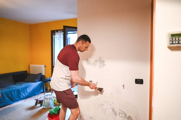Best Residential Mold Removal  in La Palma, CA
